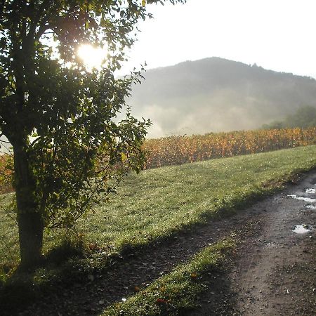 grange rénovée en pleine nature Valady Exterior foto