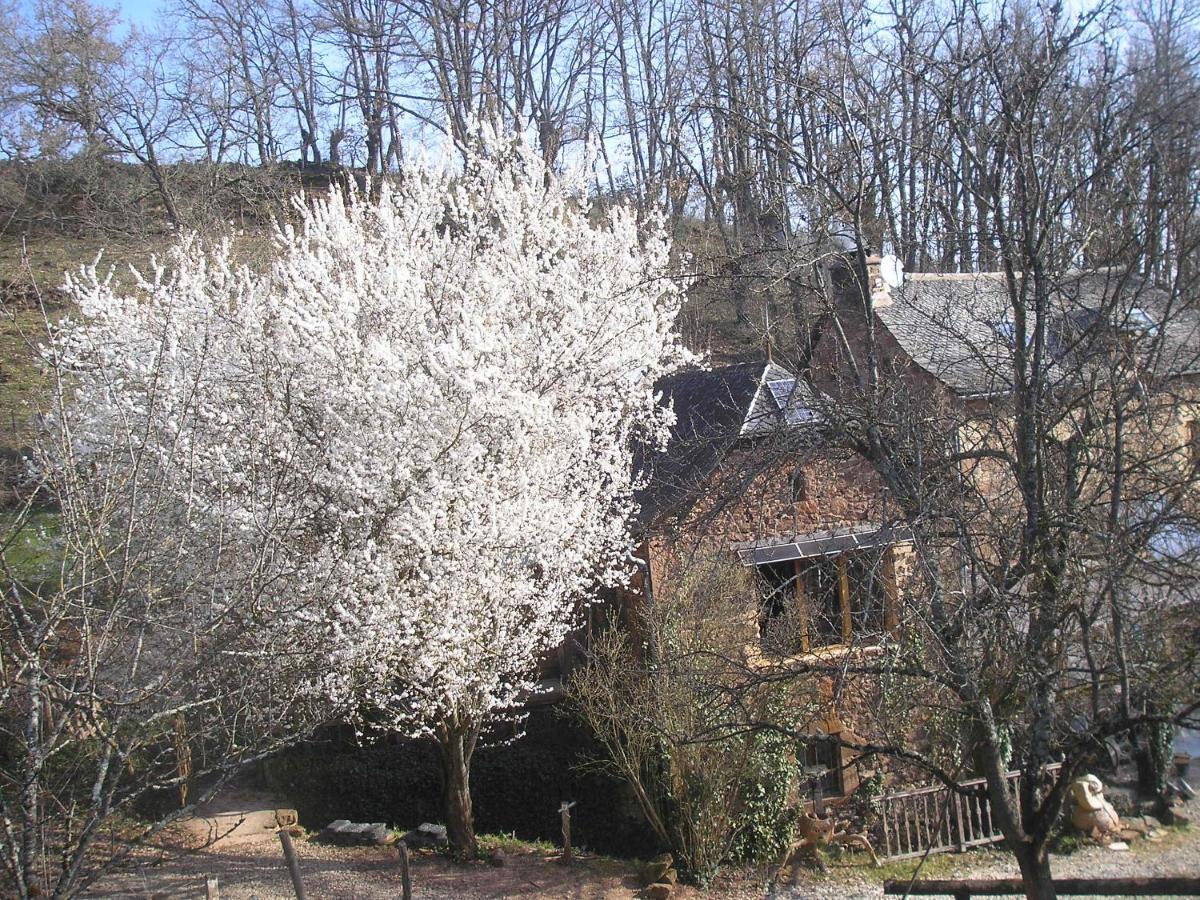 grange rénovée en pleine nature Valady Exterior foto