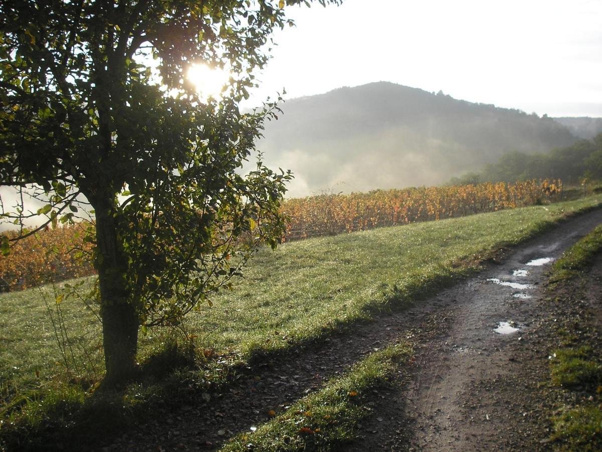 grange rénovée en pleine nature Valady Exterior foto